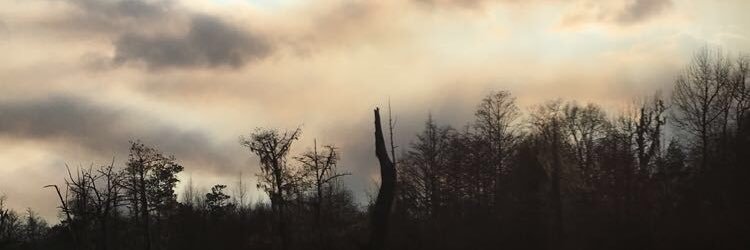 HowellLathan's profile banner image