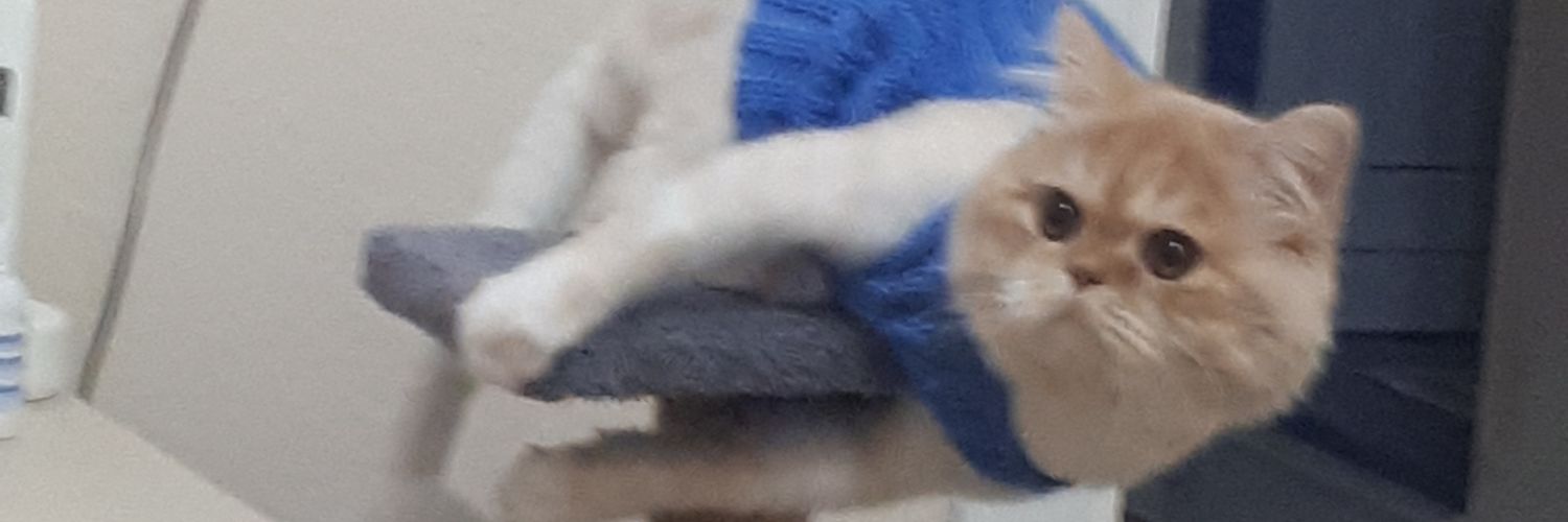 _aayycca_'s profile banner image