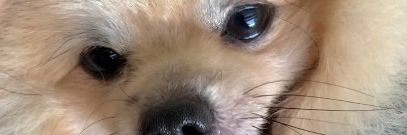 gerivelicaria's profile banner image