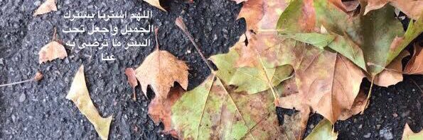 yhya_hdban's profile banner image