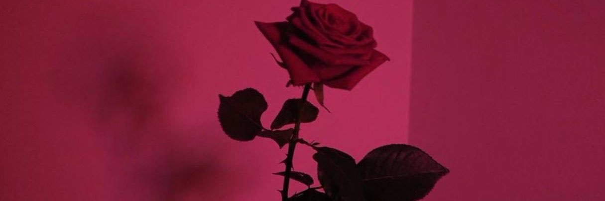 fagneteria's profile banner image