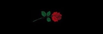 _cemsid's profile banner image