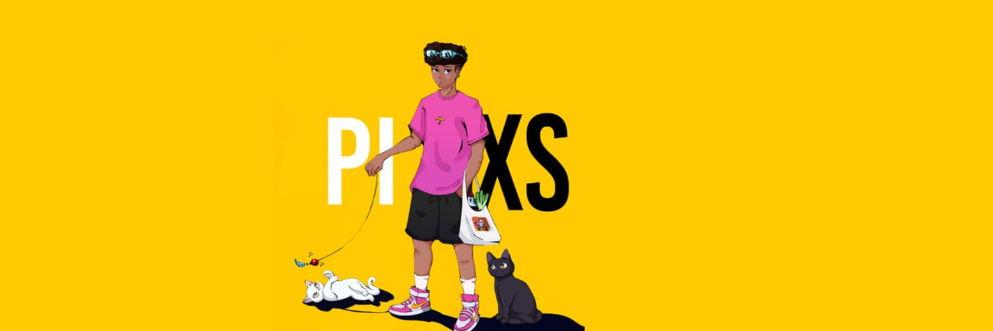 PixS banner