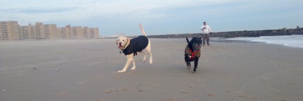 maruharraca Profile Banner