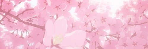 Ixaruz's profile banner image