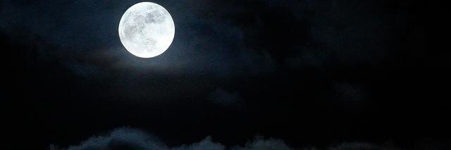 Snoballz's profile banner image