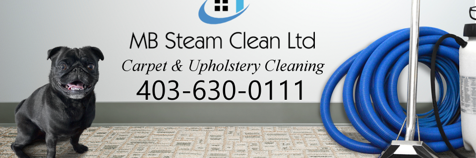 MBSteamClean's profile banner image