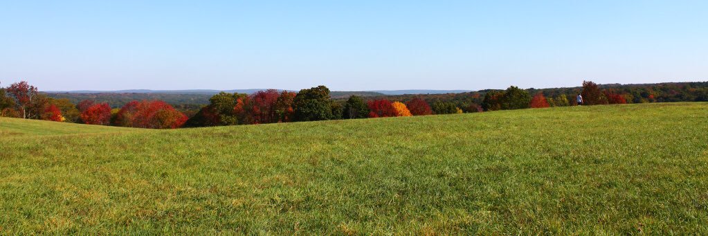 Greg (@GregConnedlr21) / Posts / X