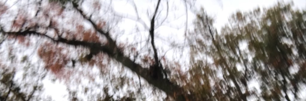yassminneeee's profile banner image