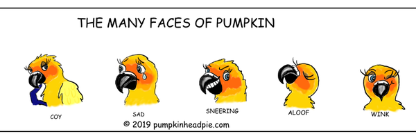 Pumpkinhead Pie Profile Banner