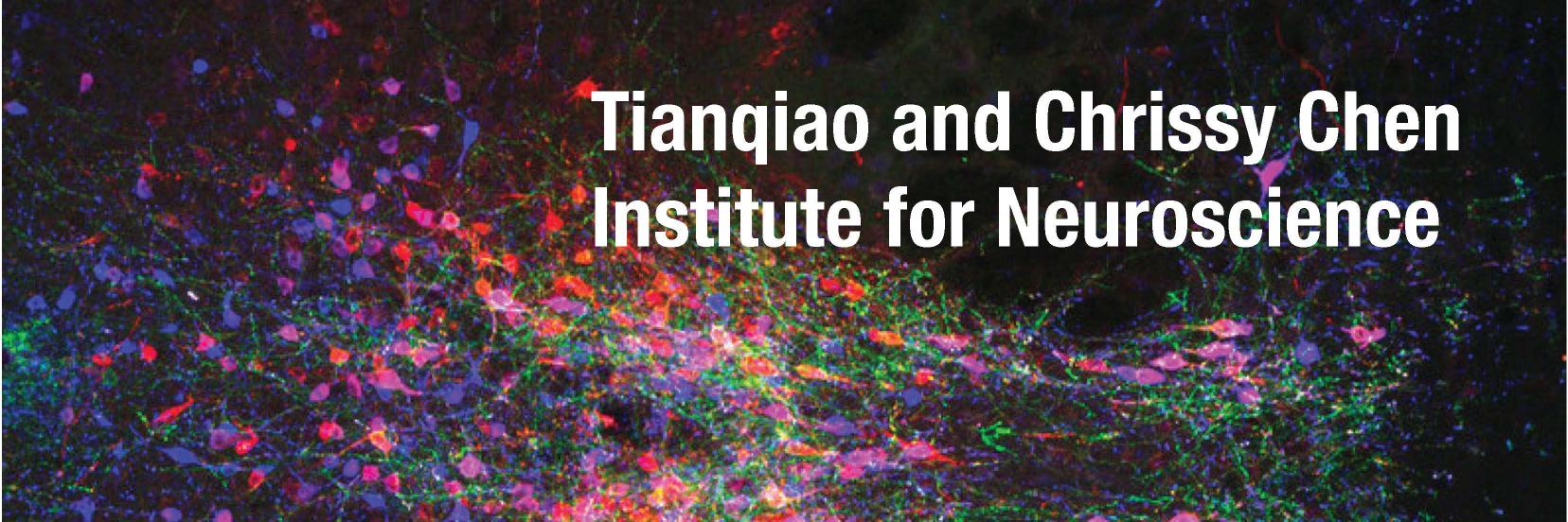 Caltech Neuroscience's banner