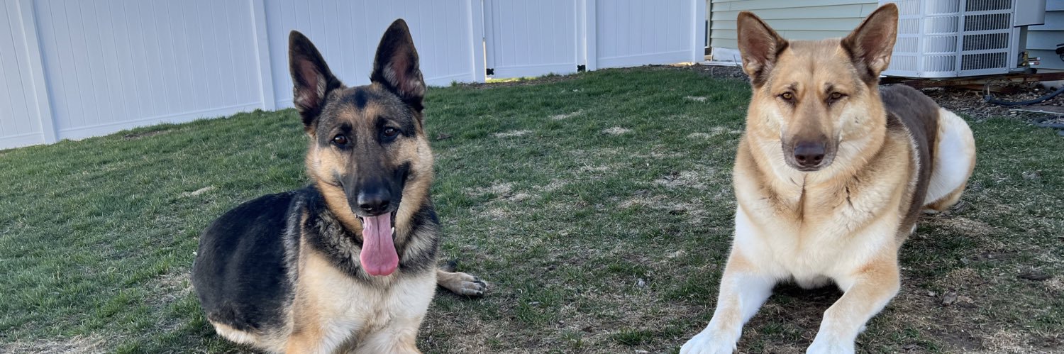 PaytonRilee's profile banner image