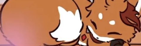 cactachuu's profile banner image