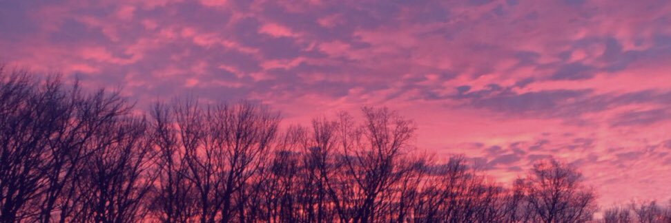 nfr_track4's profile banner image