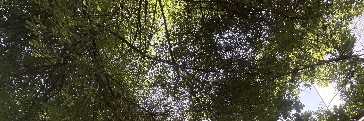 yave_07's profile banner image
