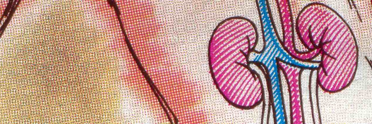 drklinghoffer's profile banner image