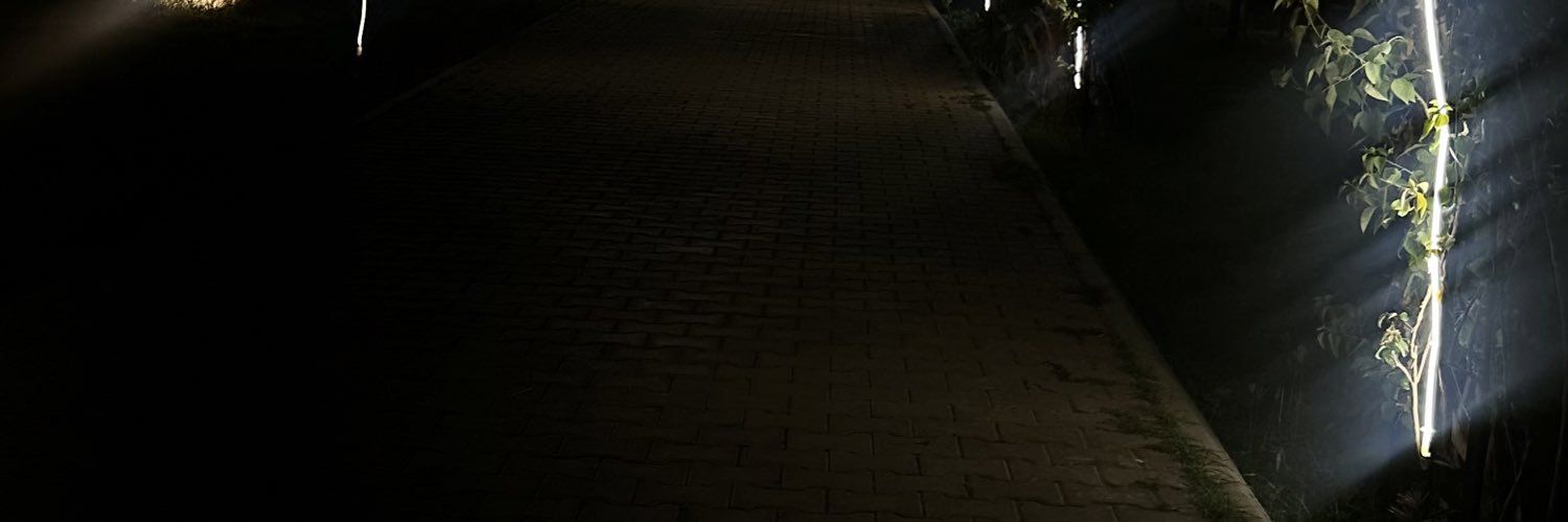 d8lli's profile banner image