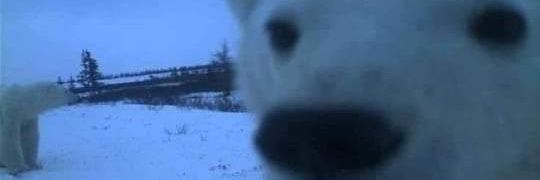 uno más del montón banner