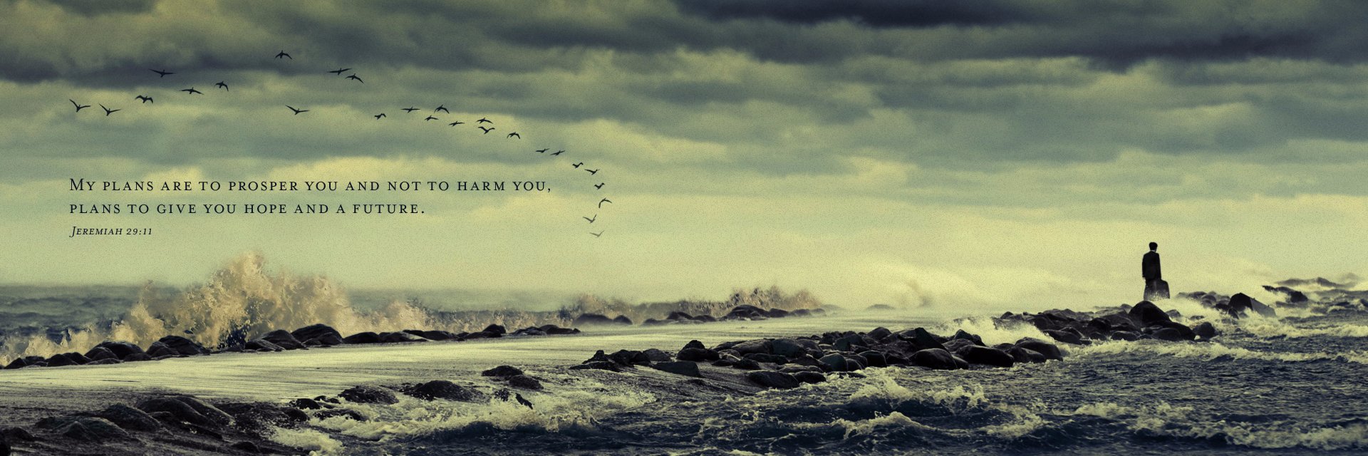 ebreedluv's profile banner image