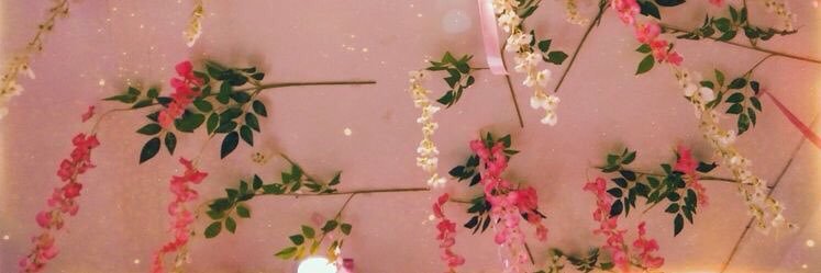 _georgiab's profile banner image