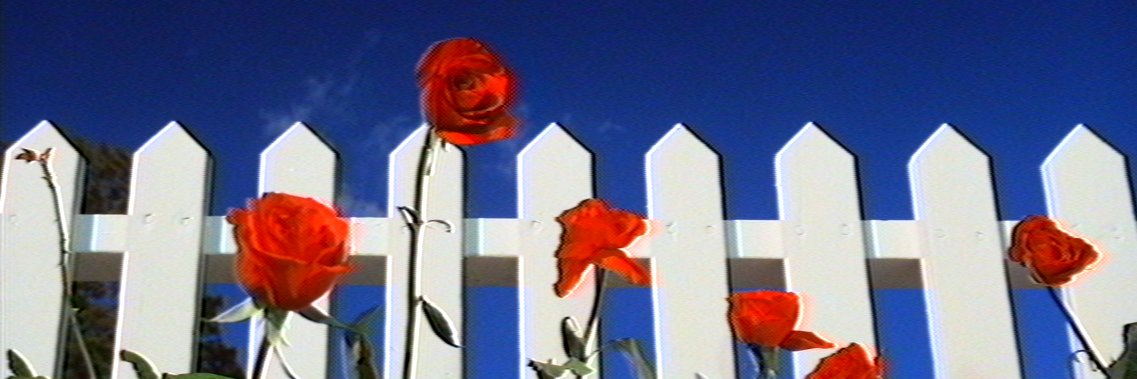 leolospe banner