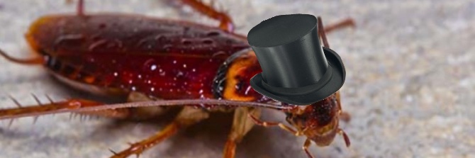 ima dig in my butt regardless banner