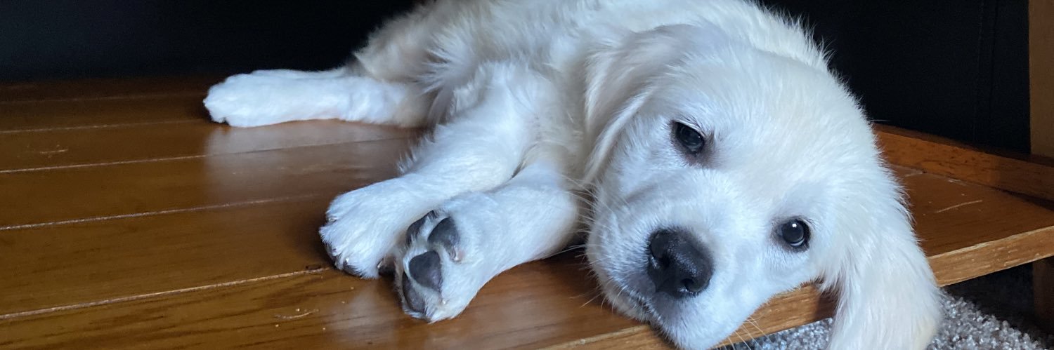 Im_JackKemp's profile banner image