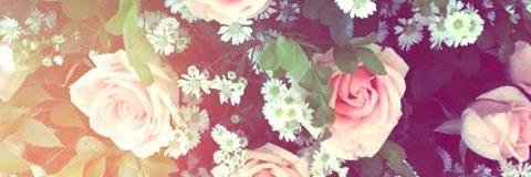 ChuliiCjS's profile banner image