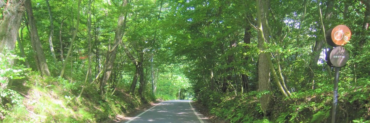 TomKamoshida's profile banner image