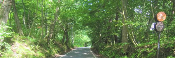 TomKamoshida Profile Banner