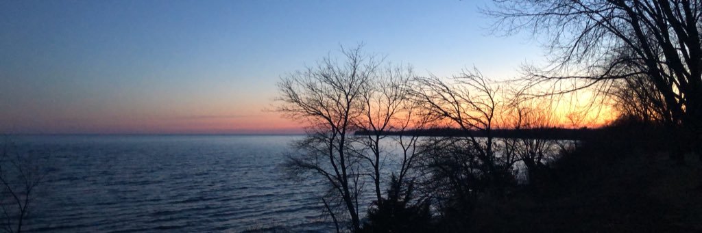 aminbhangu's profile banner image