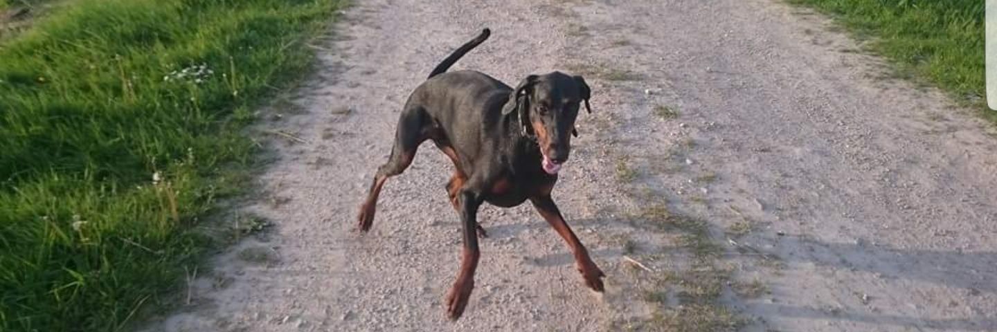 ACT_DEL_//500//RES banner