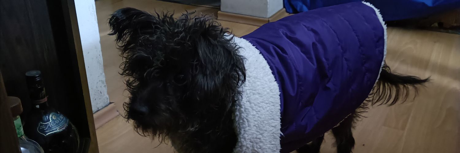 gonpeji's profile banner image