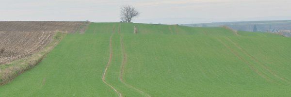 Kazek48332004 Profile Banner