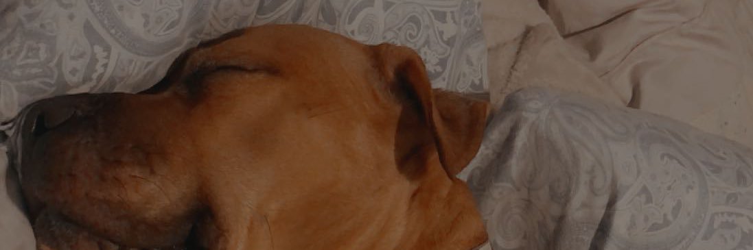 TheHomieJeric's profile banner image