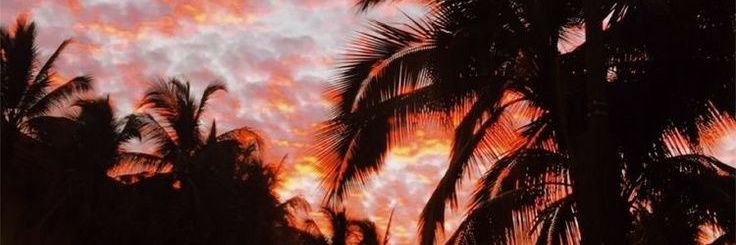 Teph2701's profile banner image
