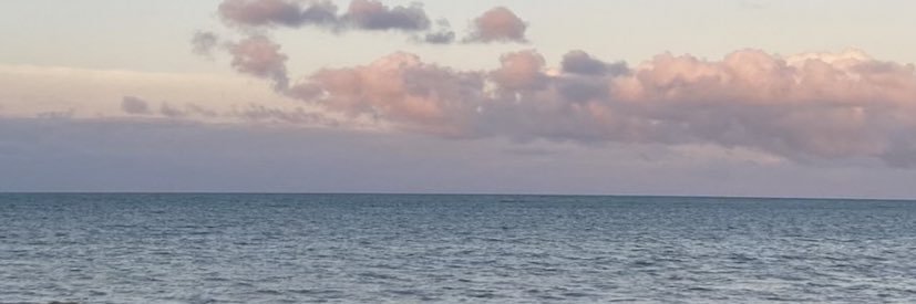 vanessagomys's profile banner image