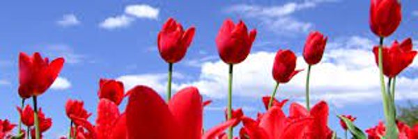 positivenumber1 Profile Banner