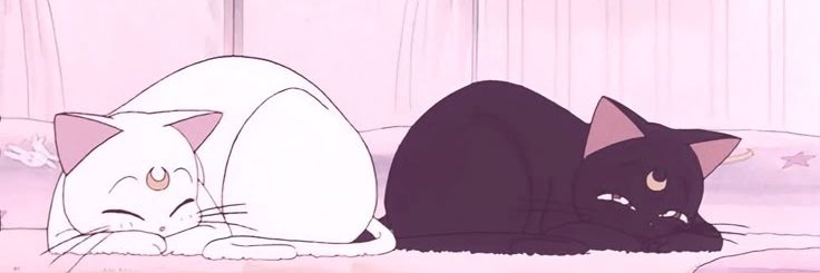 painanaz's profile banner image