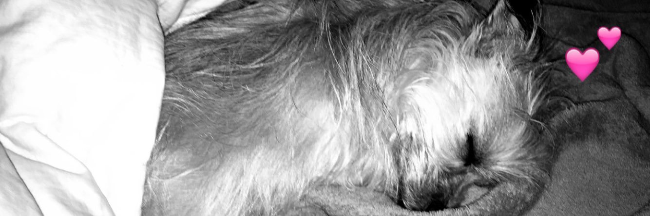 cindymsj5's profile banner image