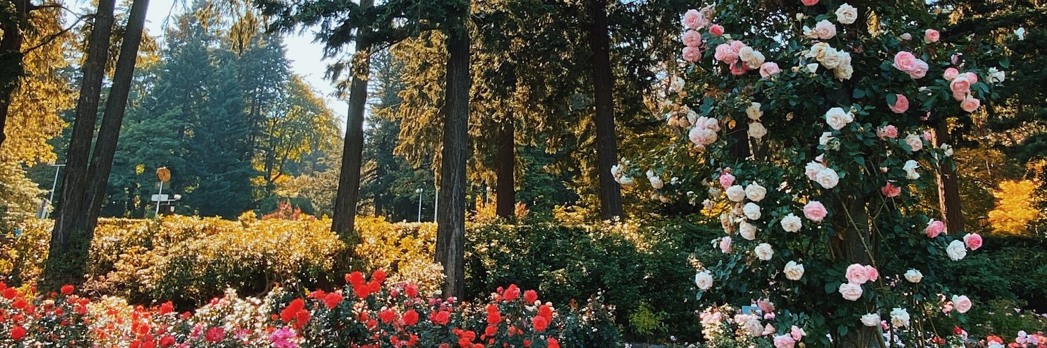 ktabarihouse's profile banner image