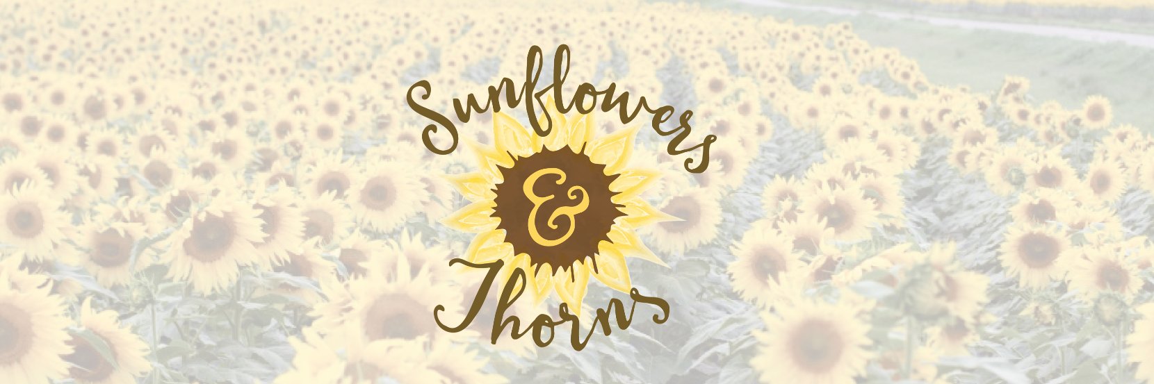SunThruThorns's profile banner image
