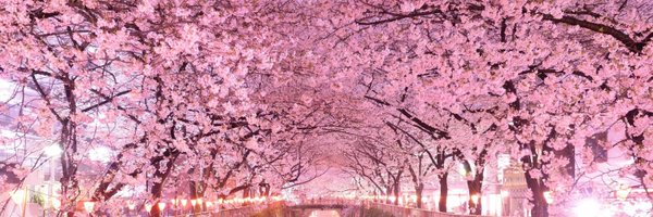 CurtisEslami Profile Banner