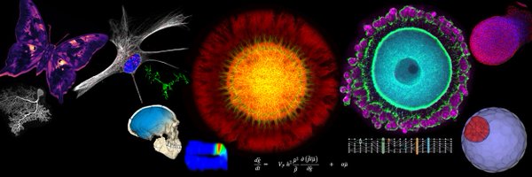CirbCdf Profile Banner