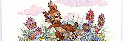 Suzanne Ford banner