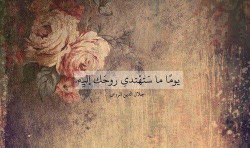 doaahesham6's profile banner image