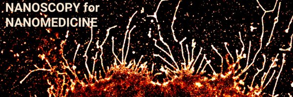 n4nlab Profile Banner