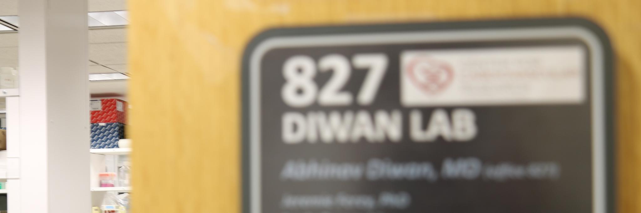 diwanlab_wustl banner