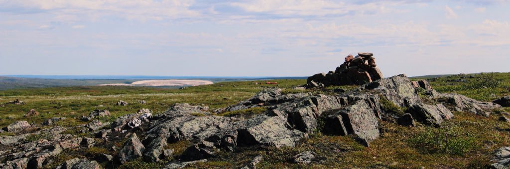 carekucera's profile banner image
