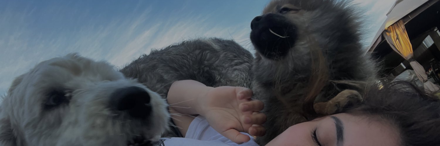 normeezy69's profile banner image